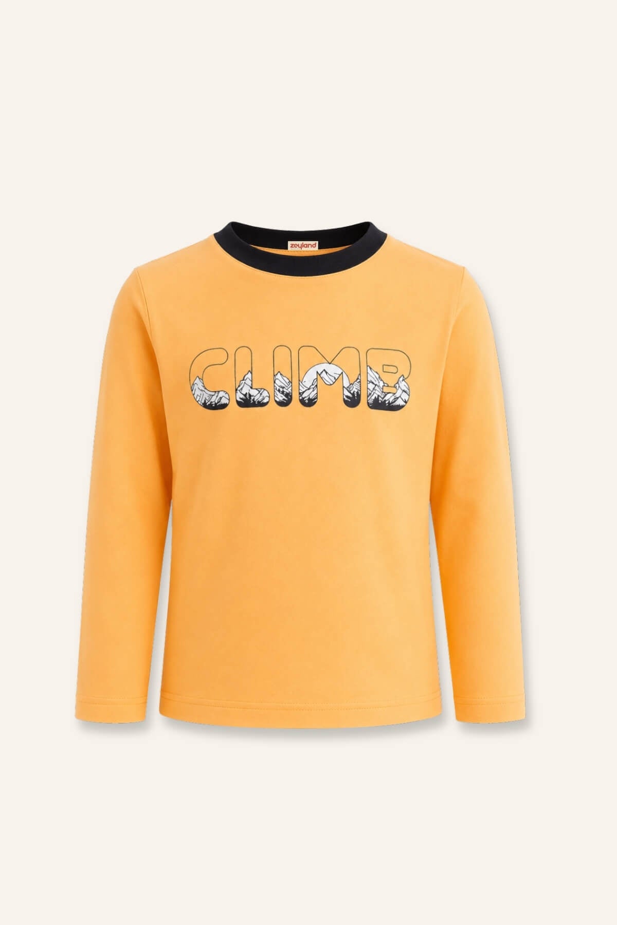 Erkek Çocuk Baskılı Sweatshirt