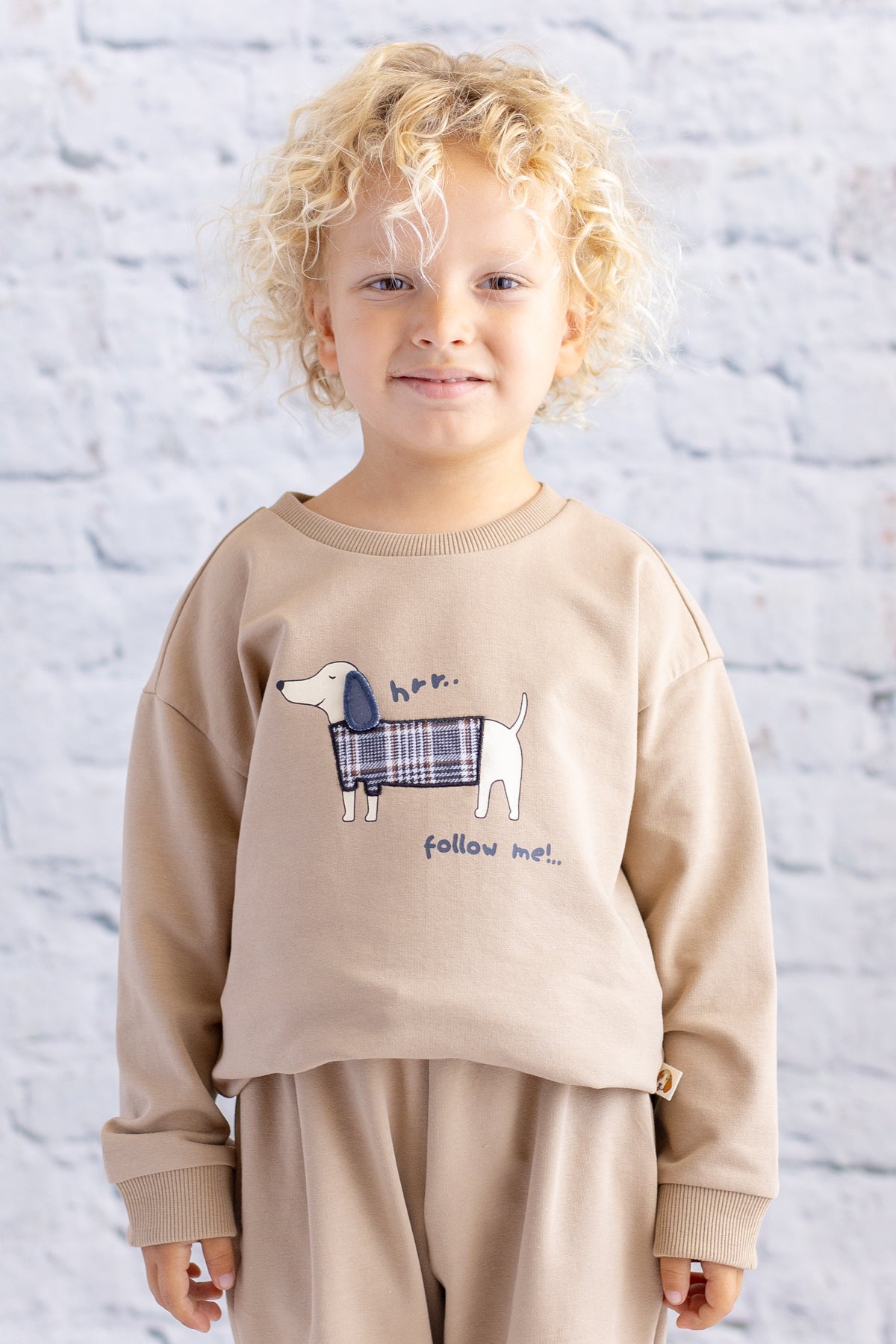 Erkek Çocuk Baskı Nakış Detaylı Sweatshirt