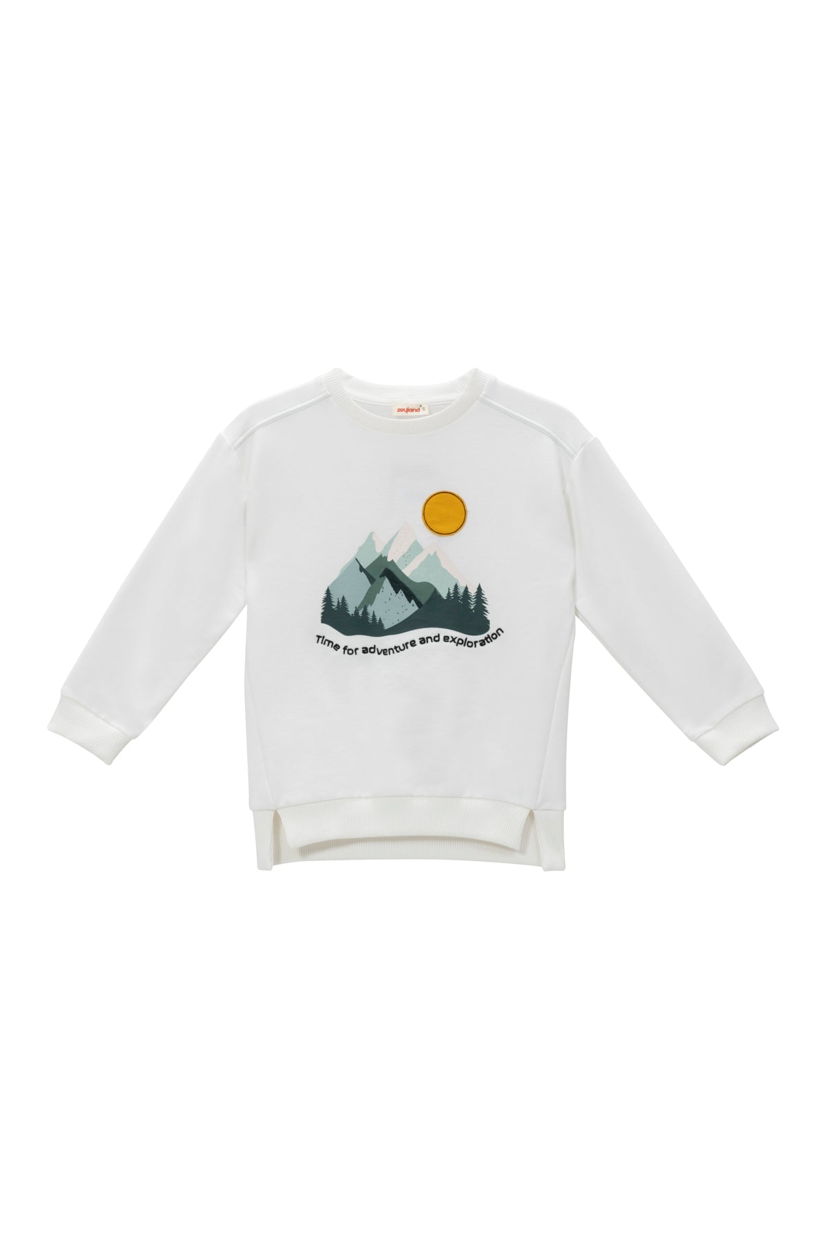 Erkek Çocuk Baskı Nakış Detaylı Sweatshirt