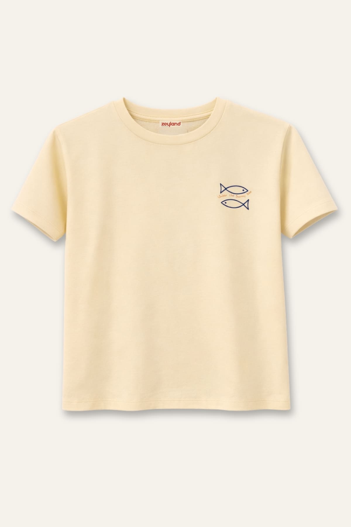 Erkek Çocuk Tshirt
