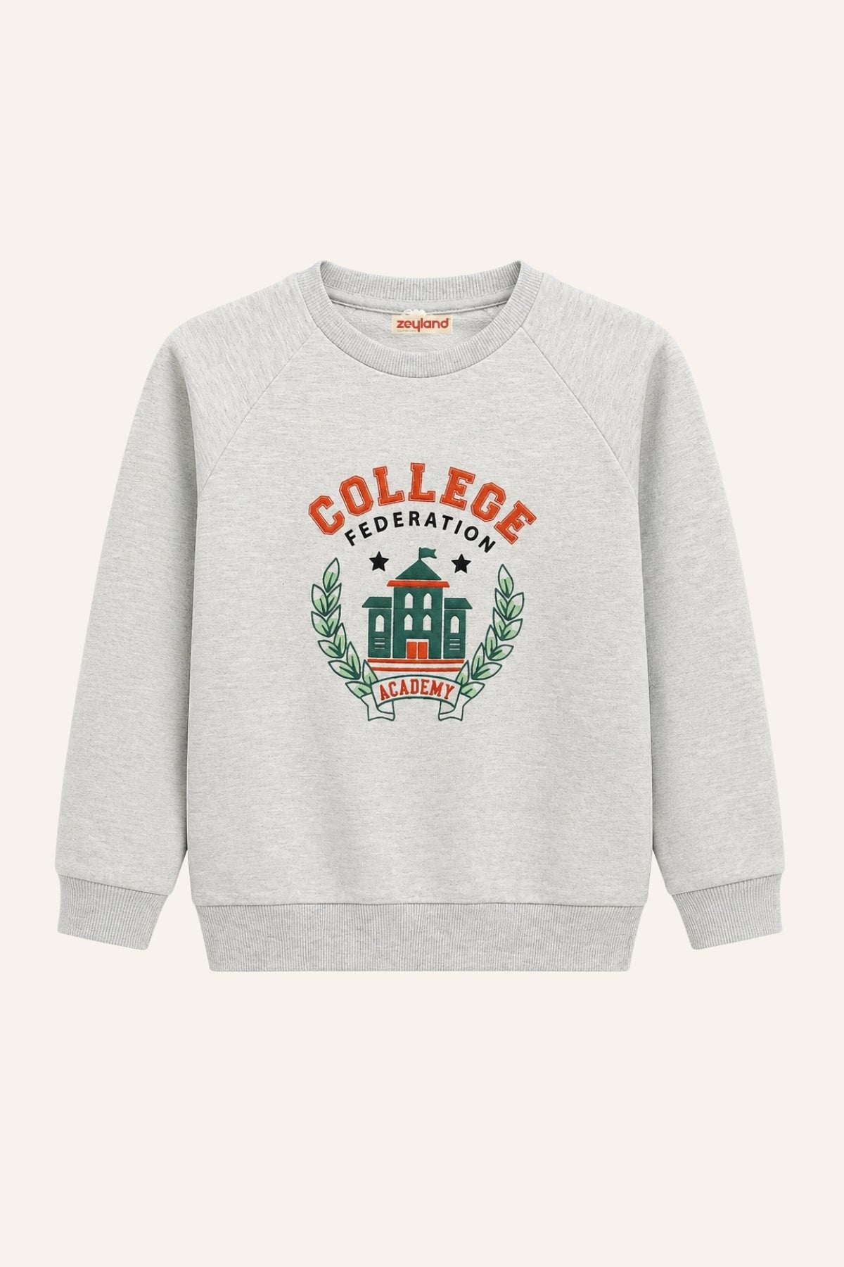 Erkek Çocuk Reglan Baskılı Sweatshirt