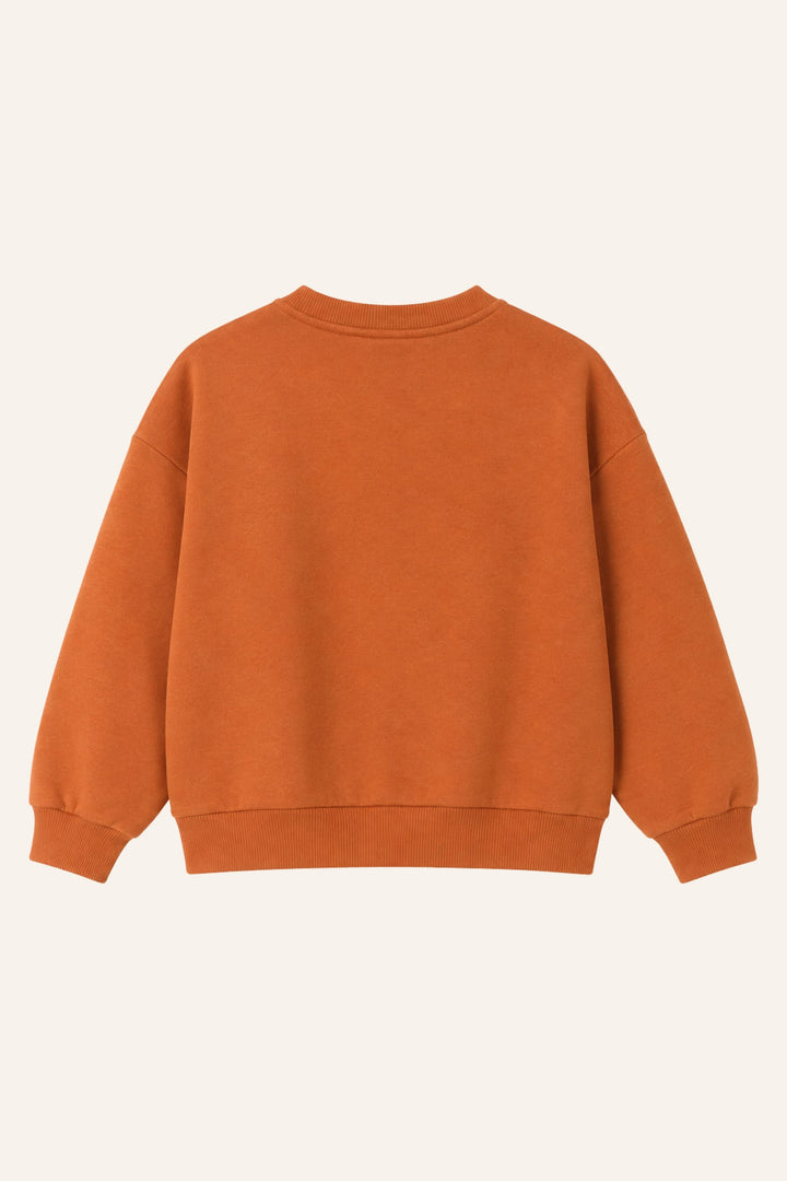Erkek Çocuk Sıfır Yaka Baskılı Sweatshirt