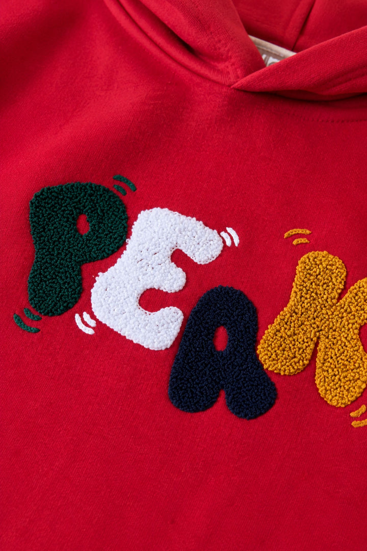 Erkek Çocuk Kapüşonlu Sweatshirt