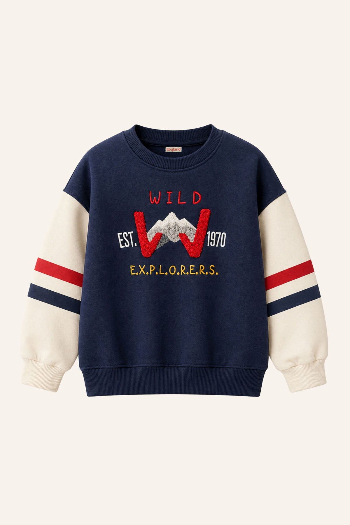 Erkek Çocuk İki Renkli Sweatshirt