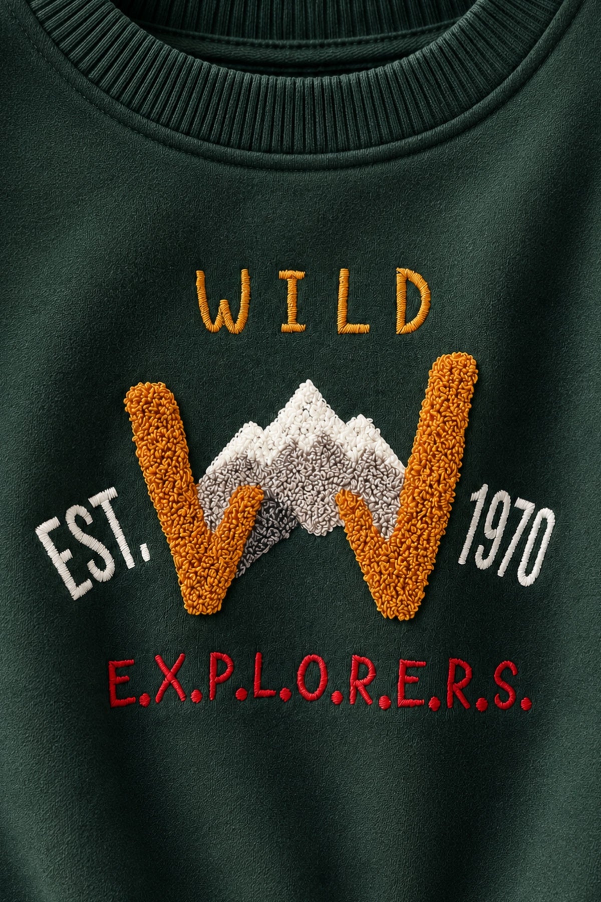 Erkek Çocuk İki Renkli Sweatshirt