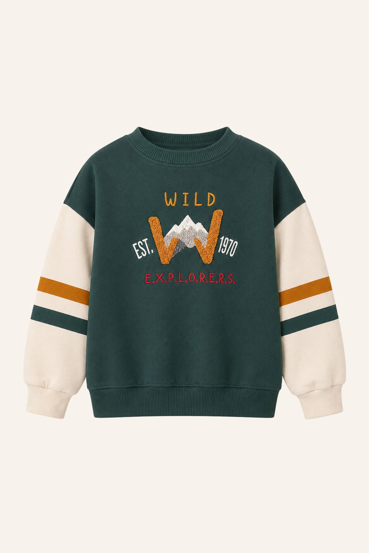 Erkek Çocuk İki Renkli Sweatshirt