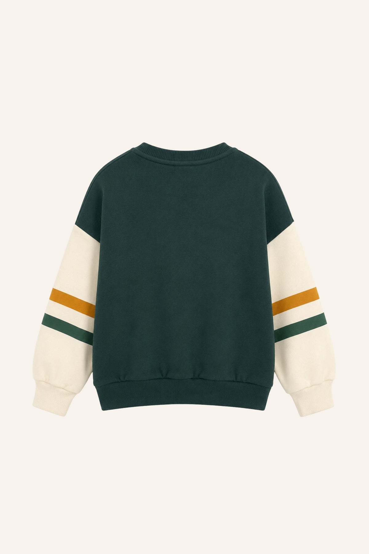 Erkek Çocuk İki Renkli Sweatshirt