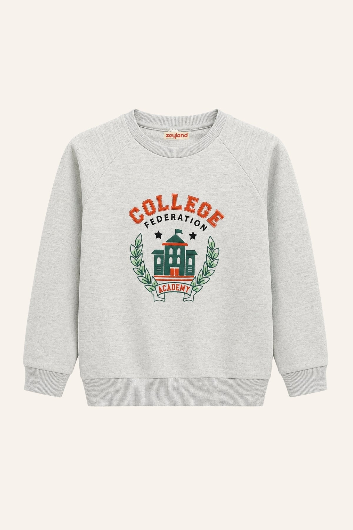 Erkek Bebek Reglan Baskılı Sweatshirt