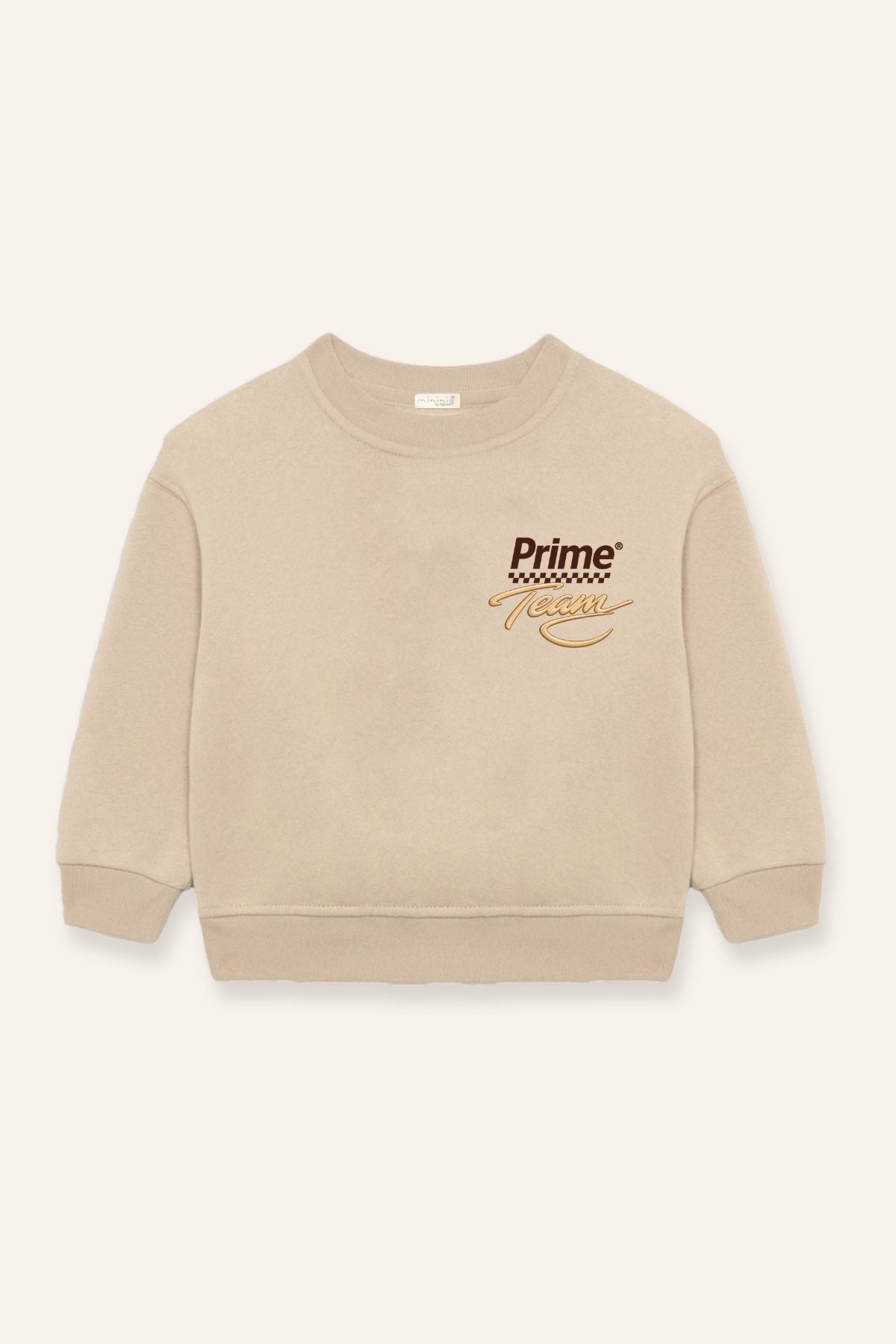 Erkek Çocuk Nakışlı Sweatshirt