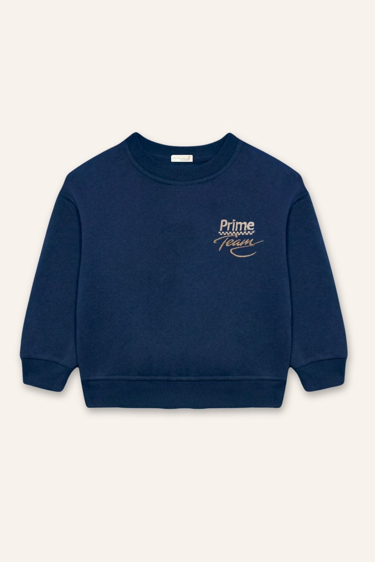Erkek Çocuk Nakışlı Sweatshirt