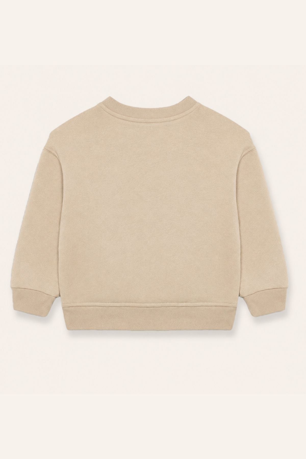 Erkek Çocuk Baskılı Sweatshirt