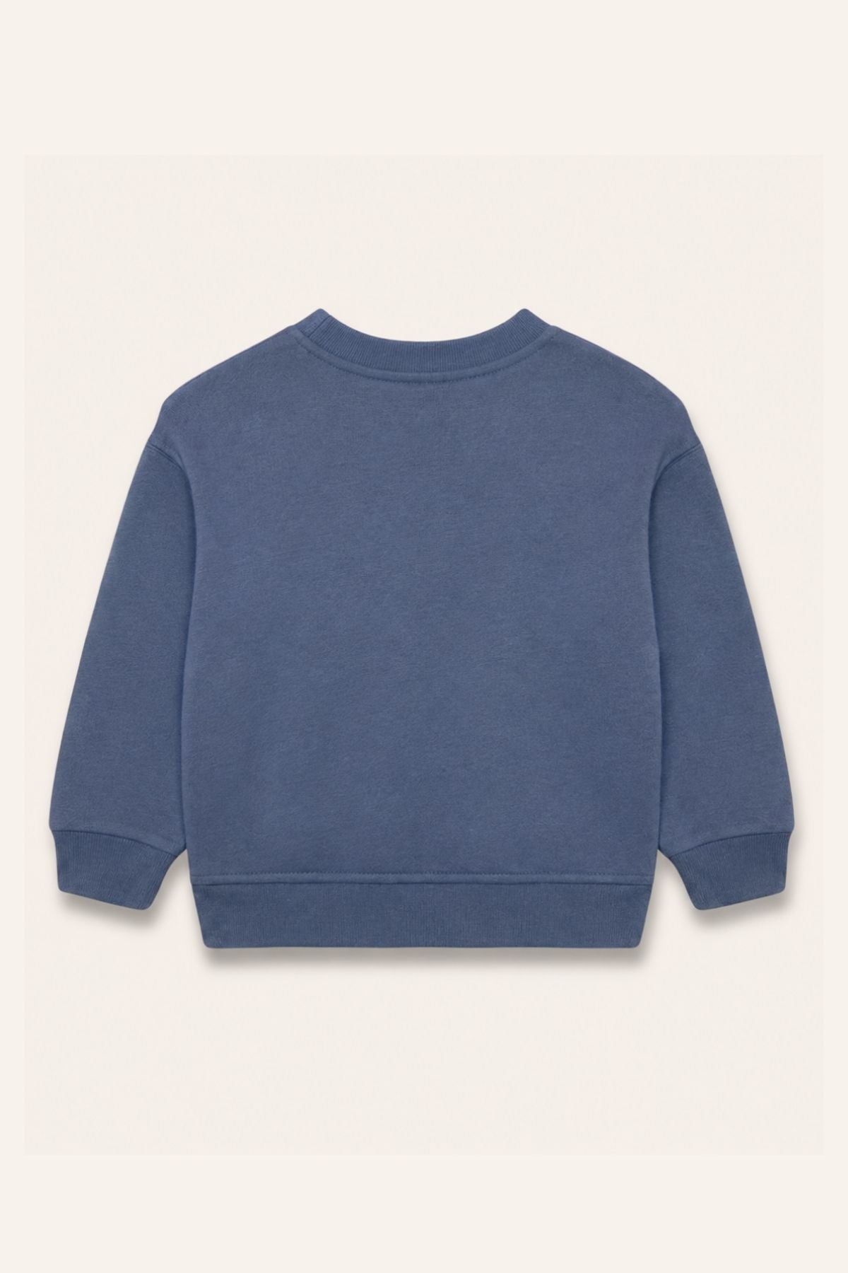 Erkek Çocuk Baskılı Sweatshirt