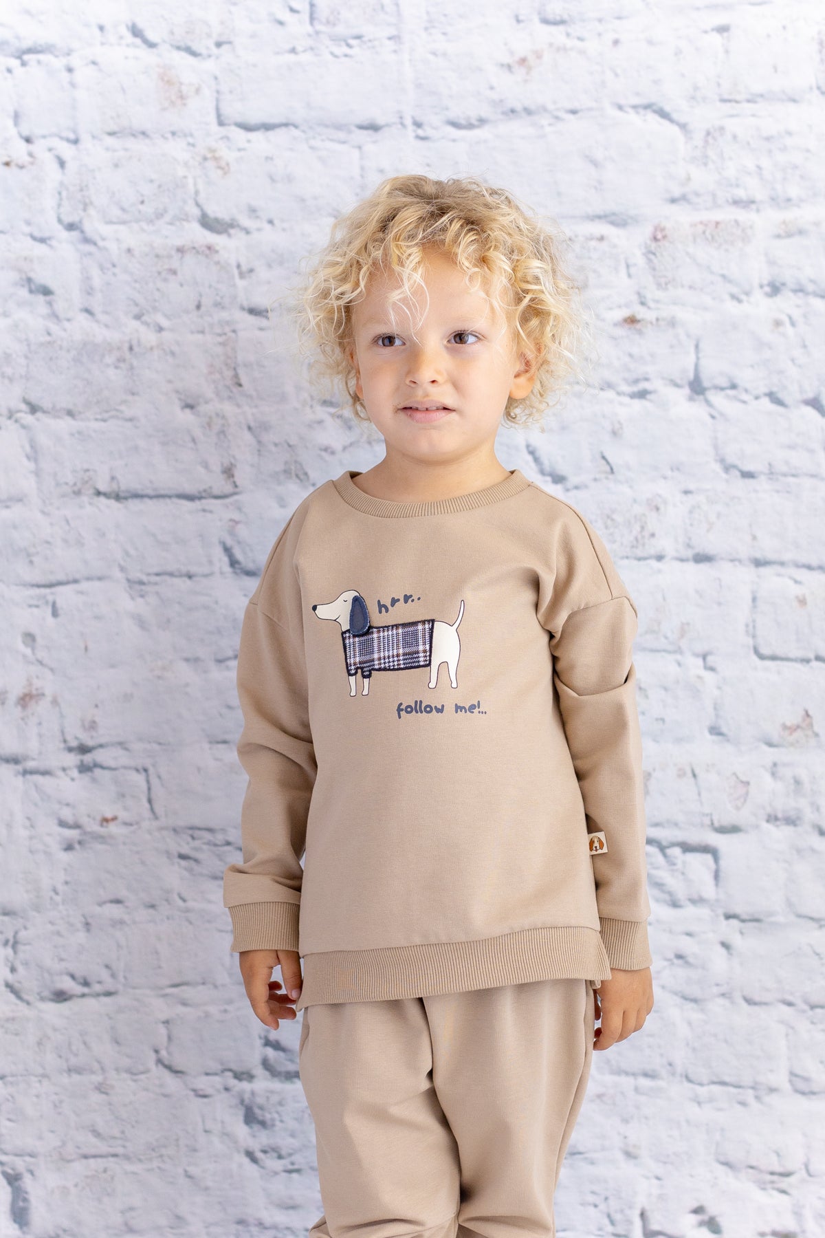 Erkek Çocuk Baskı Nakış Detaylı Sweatshirt