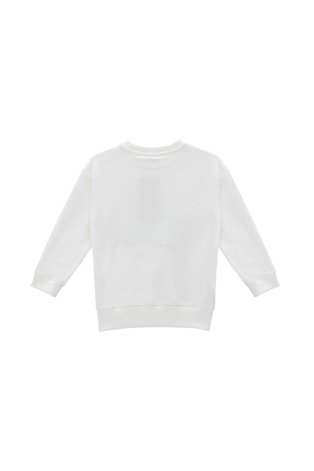 Erkek Çocuk Baskı Nakış Detaylı Sweatshirt