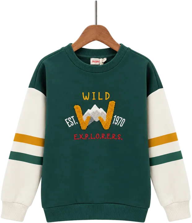 Erkek Çocuk Wild Explorers Nakışlı Sweatshirt – önden
